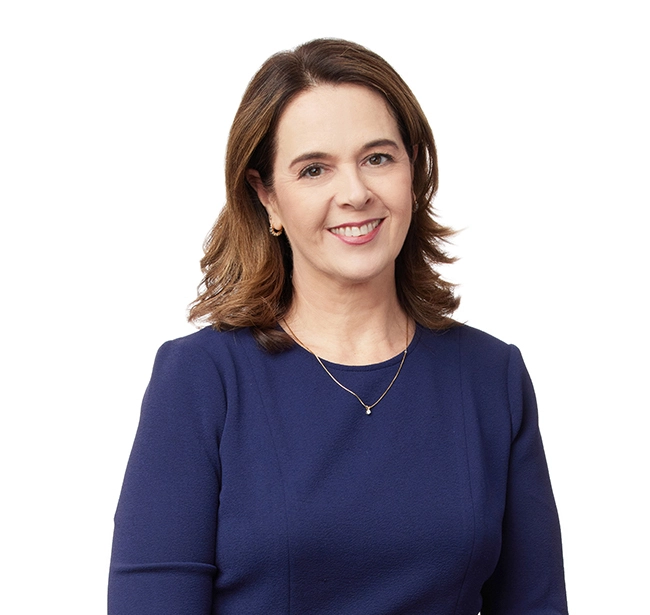 Lisa Johnson Real Estate Construction Law